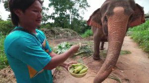ОСТРОВ ПАНГАН, ТАИЛАНД