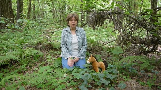 Тайны, покрытые мраком. Часть 2. Лоскутное одеяло (продолжение) смотреть онлайн