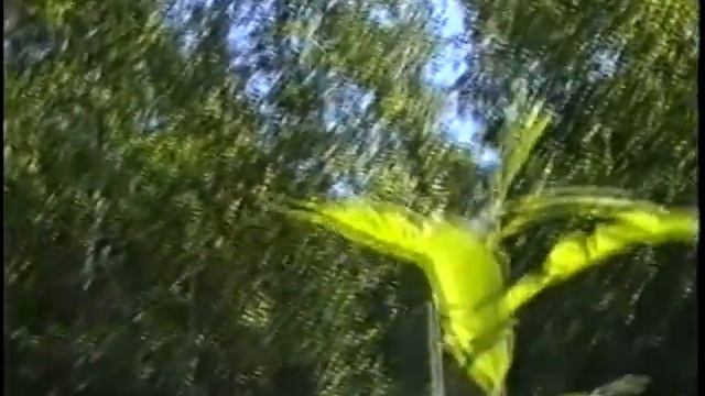 Panasonic AG-DP200P (S-VHS) VIDEO TEST смотреть онлайн