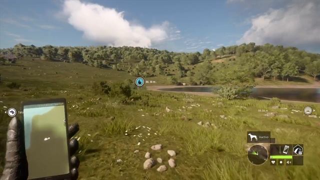 theHunter: Call of the Wild Red Deer Great One смотреть онлайн