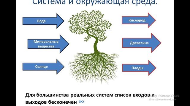 система как чёрный ящик 6 класс смотреть онлайн