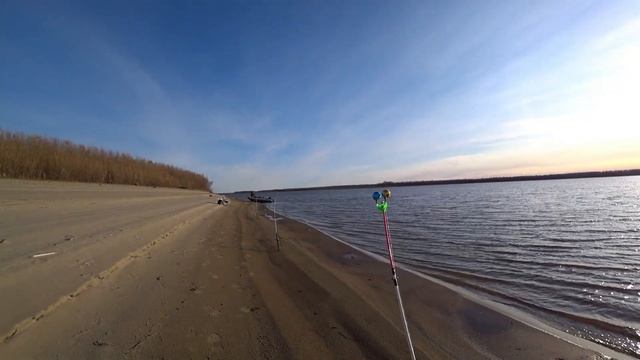 Рыбалка на Оби. Закрытие сезона донок 2022. смотреть онлайн