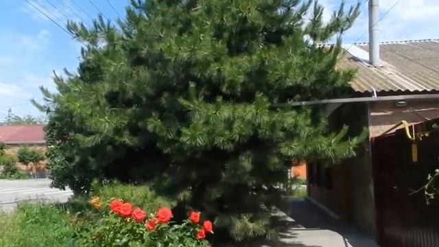 ПРОСТО ЖЕНЩИНА смотреть онлайн
