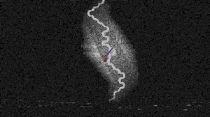 Террария: Утроба | Terraria | Игровая страшная история