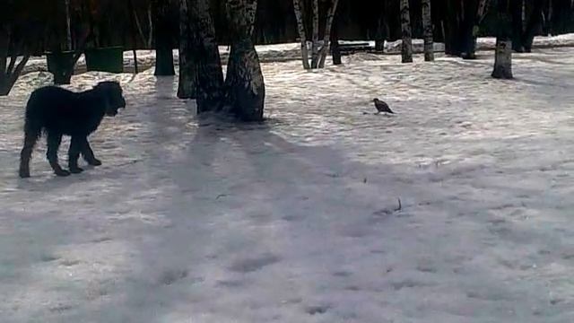 Белинда :) смотреть онлайн