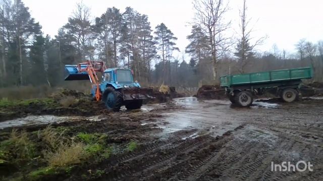 Возим органическое удобрение(навоз) на картофельное поле. смотреть онлайн