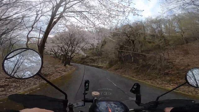 Honda cross cub 110cc fast and beautiful down hill. смотреть онлайн