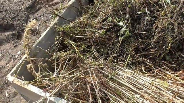 Устройство поднятой теплой грядки из растительных остатков. Подробно. Пошаговое видео. смотреть онлайн