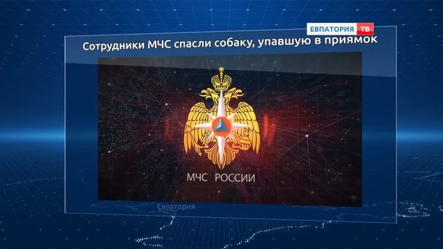 Сотрудники МЧС спасли собаку, которая упала в приямок. смотреть онлайн