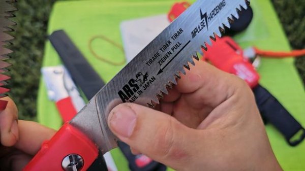 Лучшие помощники в саду.