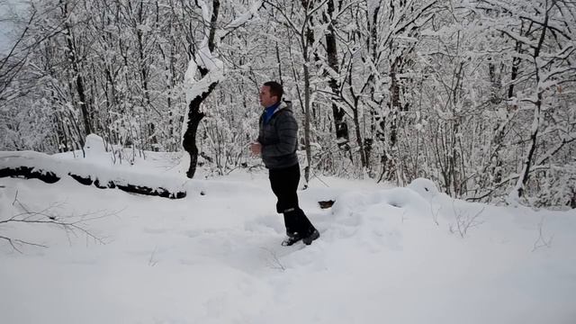 ПРОГУЛКА18.03.2012. смотреть онлайн