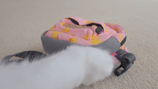 Detective LuLu | Kittisaurus Villains
