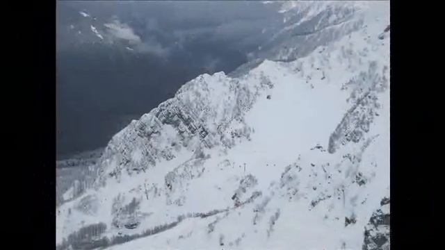 Роза Пик 2320 смотреть онлайн