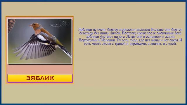 Перелетные птицы презентация для детей смотреть онлайн