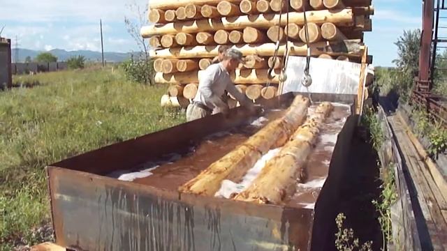 Обработка бревна кедра антисептиком смотреть онлайн
