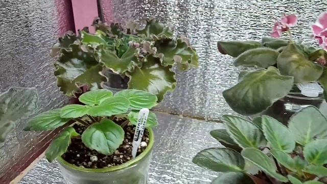 Строительные Журналы