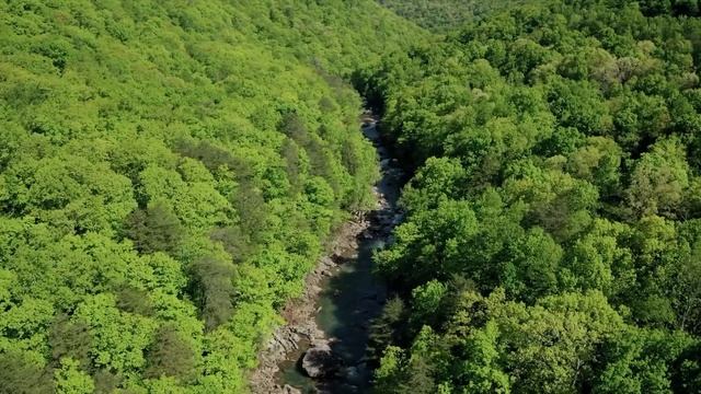 Музыка для сна. медитация перед сном Спим всю ночь под успокаивающую музыку смотреть онлайн