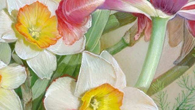 Tulips and daffodils. Тюльпаны и нарциссы. смотреть онлайн