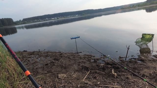 Линь. Подлещик. Сорога. Рыбалка ранним утром на фидер. смотреть онлайн