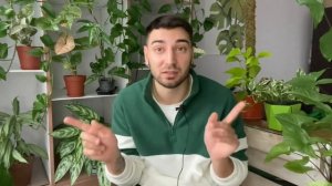 Мой вишлист на 2023 год / Комнатные растения которые я хочу ?️?