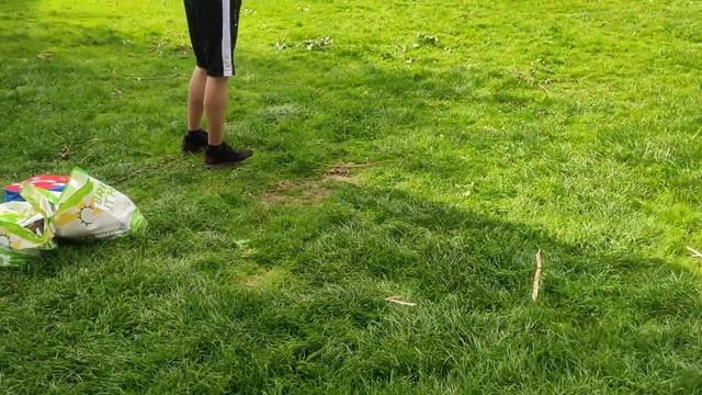 Царь птиц смотреть онлайн