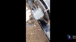 Настройка магнито на  мотороллере Муравей