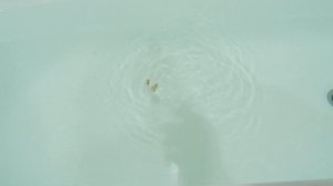 Беглянка уникальная блесна из медной трубки