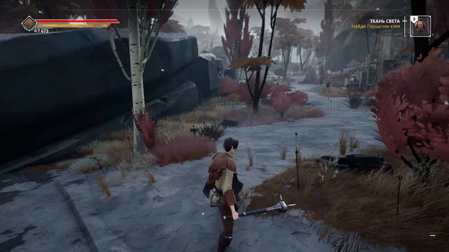 Ashen. Кооператив.