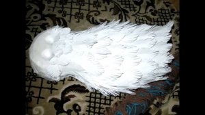Сова из пластиковых бутылок