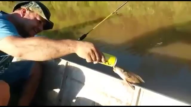 Бразильские рыбаки напоили рыбу пивом смотреть онлайн