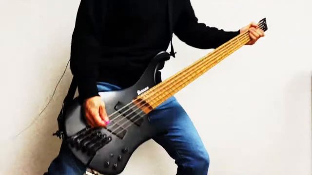 Eskimo Callboy - Hypa Hypa || Bass Cover смотреть онлайн