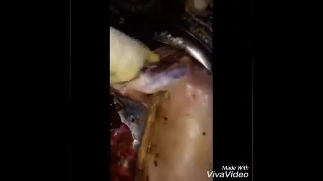 Готовка в Кемпинге и на Походах