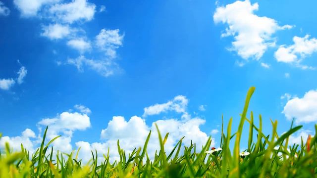 Le Trang choi voi nguoi chan thanh смотреть онлайн