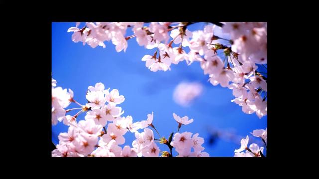 Моя милая мама смотреть онлайн