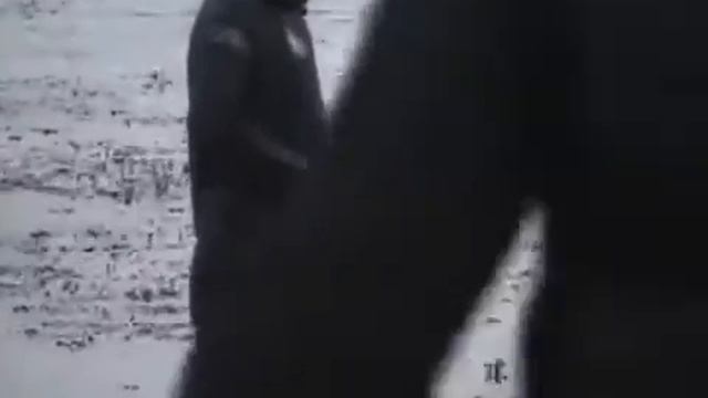 Подводная охота на щуку смотреть онлайн