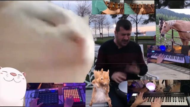 Cat Vibing To Levan Polkka (Dance Remix) Ft. Bilal Göregen