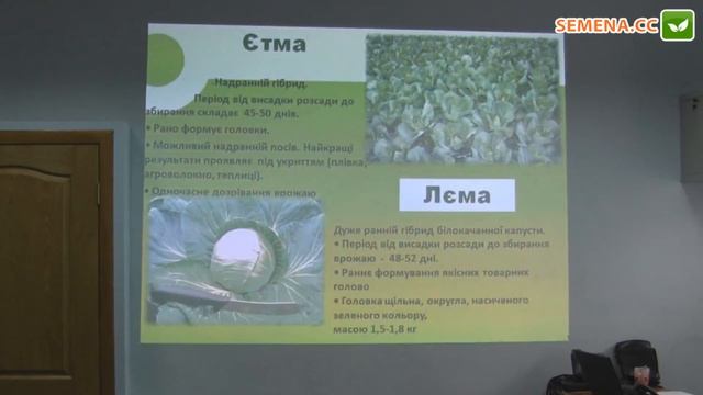 Лема и Этма F1 Капуста (Rijk Zwaan) Семинар 20.09.2016 смотреть онлайн