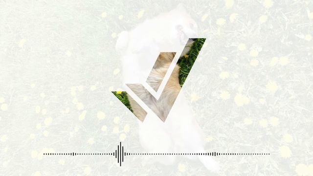 #101 — Даша и собеседование в Google смотреть онлайн