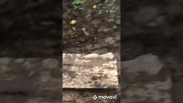 Баня из газоблока 14 день смотреть онлайн