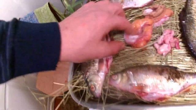 печённая рыба и икра в русской печке. смотреть онлайн