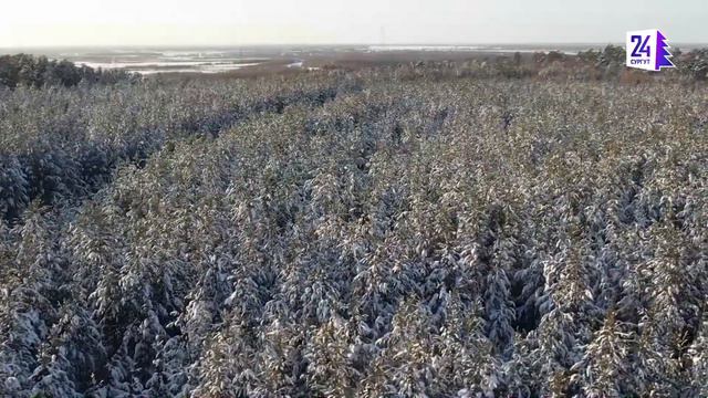 Без года век! Сургутский район отмечает 99-летие смотреть онлайн