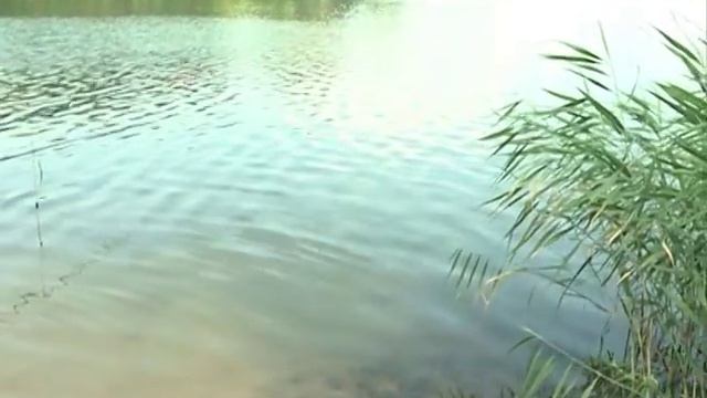 podvodniy смотреть онлайн