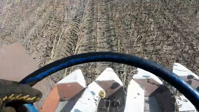Предпоследний день уборки подсолнуха смотреть онлайн