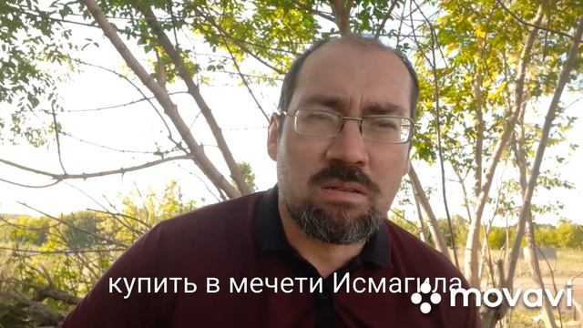Башкирский сказ смотреть онлайн