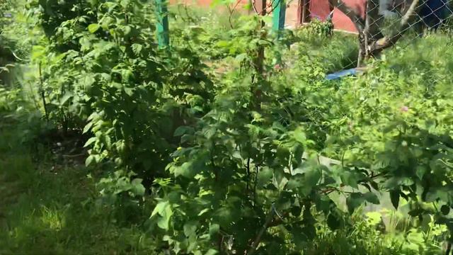 На даче смотреть онлайн