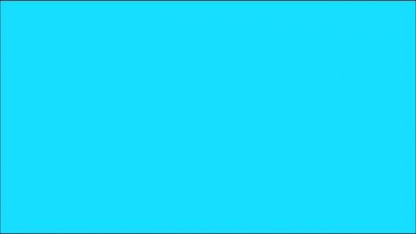 NEON LIGHT / neon color / blue color