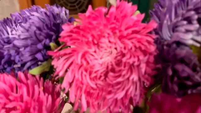 РИСОВАНИЕ С НАТУРЫ: АСТРЫ смотреть онлайн