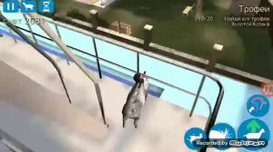 Где все статуэтки золотой козы в симуляторе козла