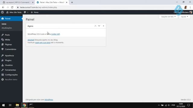 41009 Curso WP CLI Importando e Exportando Conteúdo смотреть онлайн