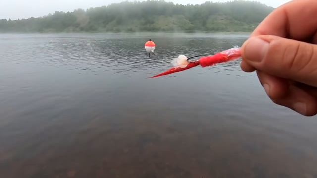 ГОРБУША 2021/Рыбалка на Кольском Полуострове/Часть1 смотреть онлайн